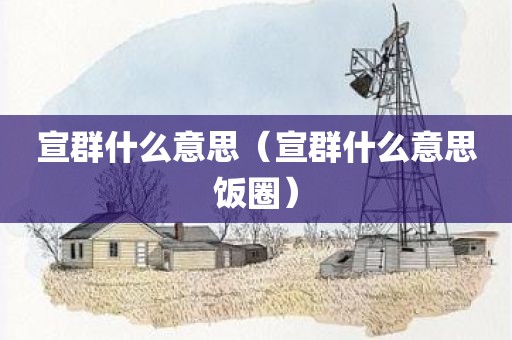 宣群什么意思（宣群什么意思饭圈）