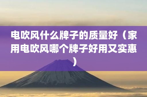 电吹风什么牌子的质量好（家用电吹风哪个牌子好用又实惠）