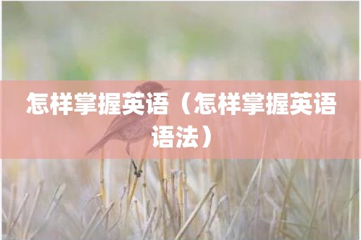 怎样掌握英语（怎样掌握英语语法）