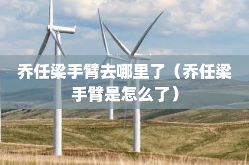 乔任梁手臂去哪里了（乔任梁手臂是怎么了）