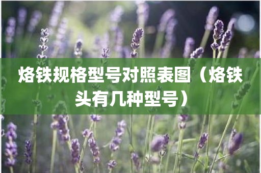 烙铁规格型号对照表图（烙铁头有几种型号）