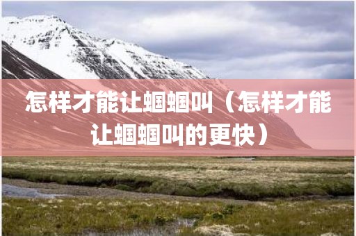 怎样才能让蝈蝈叫（怎样才能让蝈蝈叫的更快）