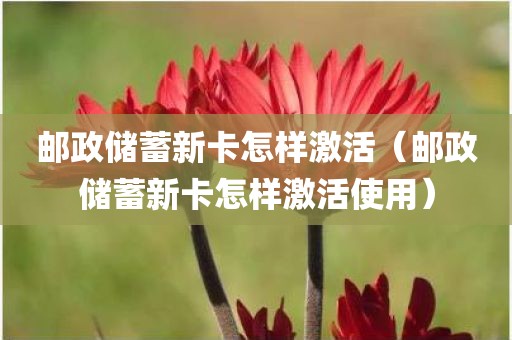 邮政储蓄新卡怎样激活（邮政储蓄新卡怎样激活使用）