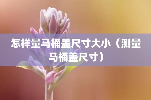 怎样量马桶盖尺寸大小(测量马桶盖尺寸) 怎样量马桶盖尺寸大小(测量马桶盖尺寸)