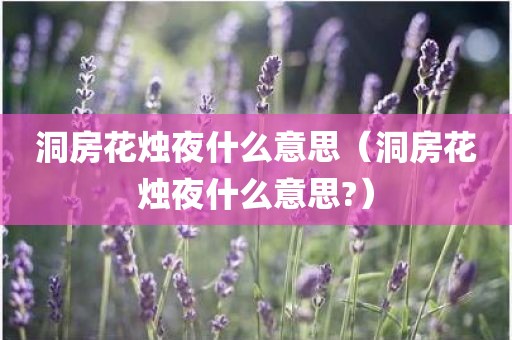 洞房花烛夜什么意思（洞房花烛夜什么意思?）