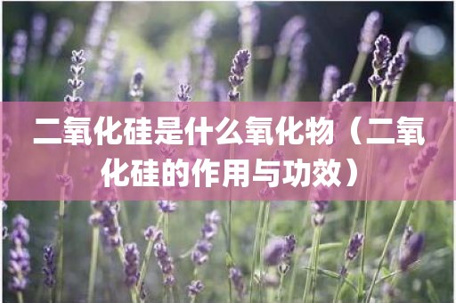 二氧化硅是什么氧化物(二氧化硅的作用与功效)
