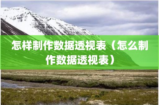 怎样制作数据透视表（怎么制作数据透视表）