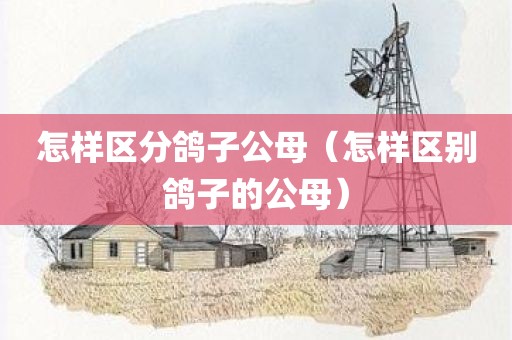 怎样区分鸽子公母（怎样区别鸽子的公母）