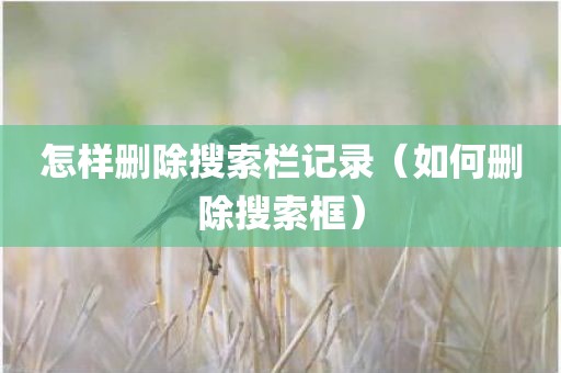 怎样删除搜索栏记录（如何删除搜索框）