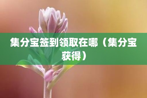 集分宝签到领取在哪（集分宝获得）