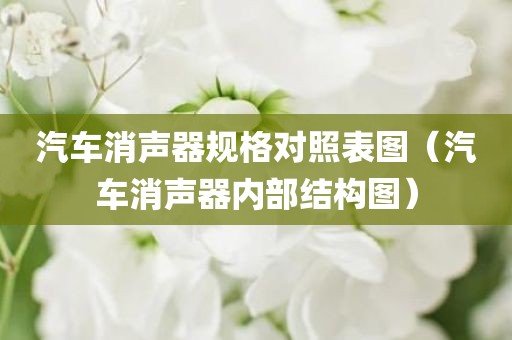 汽车消声器规格对照表图（汽车消声器内部结构图）