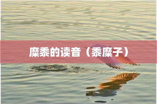 糜黍的读音（黍糜子）