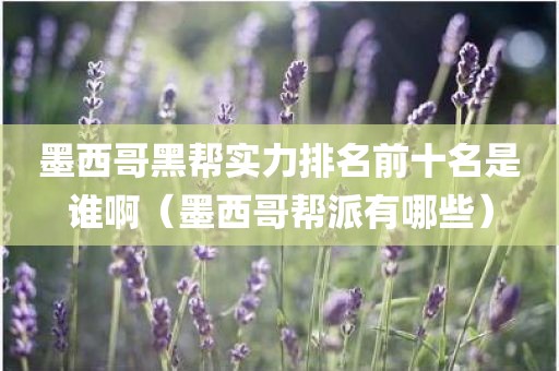 墨西哥黑帮实力排名前十名是谁啊(墨西哥帮派有哪些) 墨西哥黑帮实力排名前十名是谁啊(墨西哥帮派有哪些)