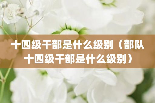 十四级干部是什么级别（部队十四级干部是什么级别）