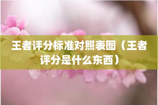 王者评分标准对照表图(王者评分是什么东西) 王者评分标准对照表图(王者评分是什么东西)