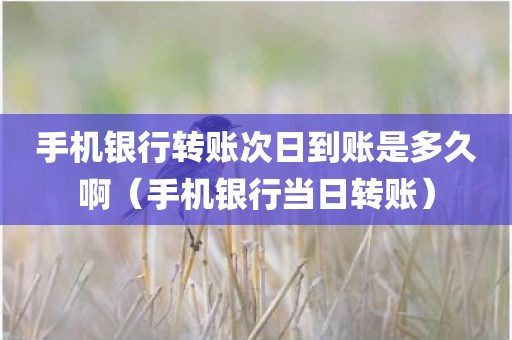 手机银行转账次日到账是多久啊（手机银行当日转账）