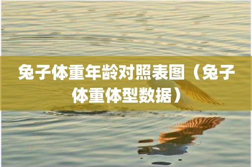 兔子体重年龄对照表图（兔子体重体型数据）