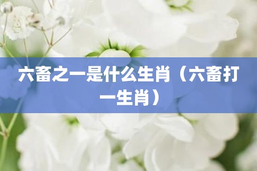 六畜之一是什么生肖（六畜打一生肖）