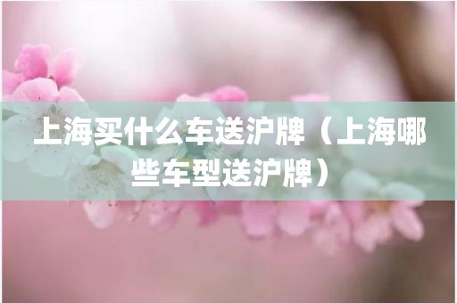 上海买什么车送沪牌(上海哪些车型送沪牌)