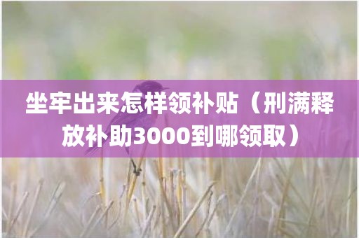 坐牢出来怎样领补贴（刑满释放补助3000到哪领取）