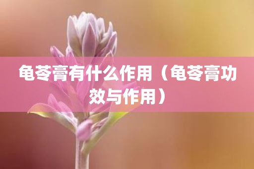 龟苓膏有什么作用(龟苓膏功效与作用)
