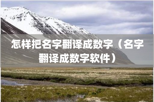 怎样把名字翻译成数字（名字翻译成数字软件）