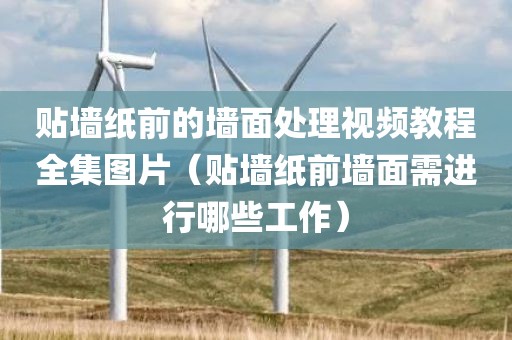 贴墙纸前的墙面处理视频教程全集图片（贴墙纸前墙面需进行哪些工作）