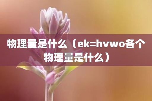 物理量是什么（ek=hvwo各个物理量是什么）
