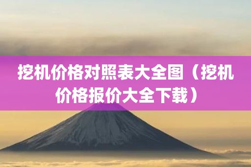 挖机价格对照表大全图（挖机价格报价大全下载）