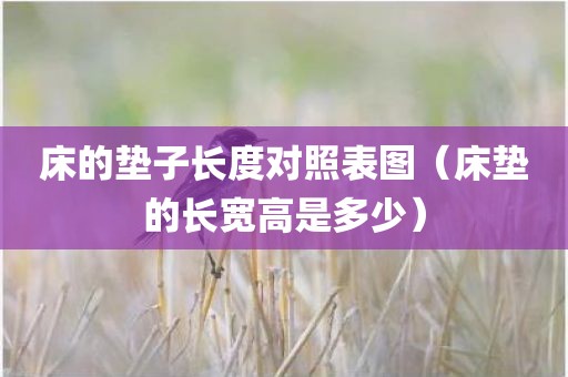床的垫子长度对照表图（床垫的长宽高是多少）