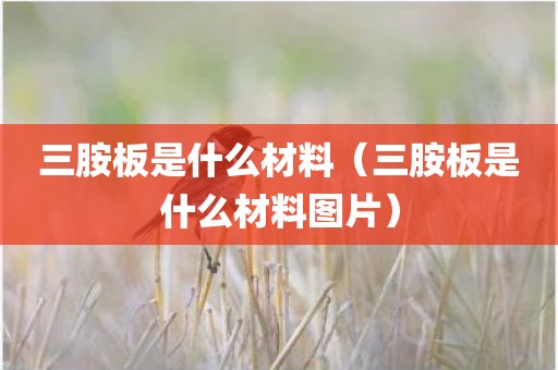 三胺板是什么材料（三胺板是什么材料图片）