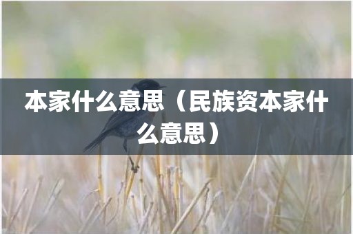 本家什么意思（民族资本家什么意思）