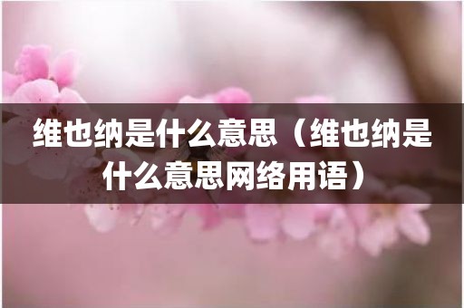 维也纳是什么意思（维也纳是什么意思网络用语）