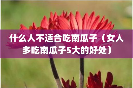什么人不适合吃南瓜子(女人多吃南瓜子5大的好处)
