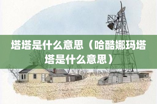 塔塔是什么意思（哈酷娜玛塔塔是什么意思）