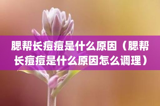 腮帮长痘痘是什么原因（腮帮长痘痘是什么原因怎么调理）