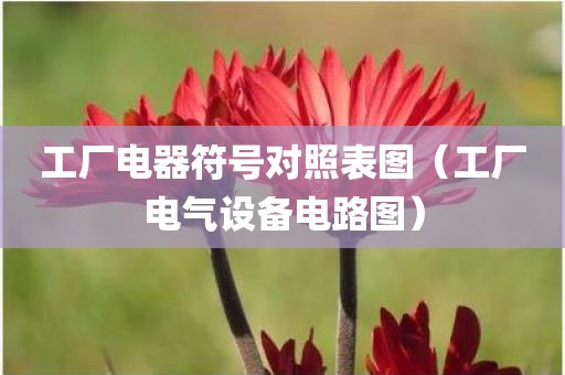 工厂电器符号对照表图（工厂电气设备电路图）