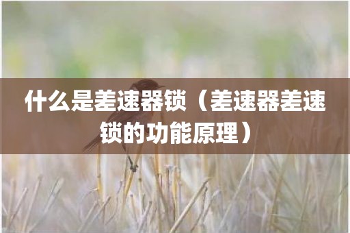 什么是差速器锁（差速器差速锁的功能原理）