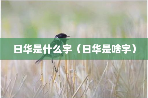 日华是什么字（日华是啥字）