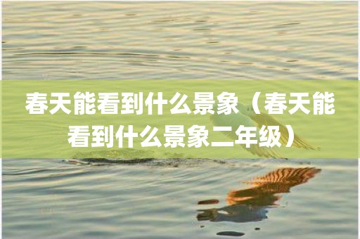 春天能看到什么景象（春天能看到什么景象二年级）