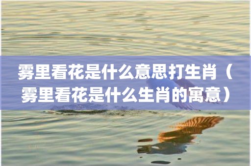 雾里看花是什么意思打生肖（雾里看花是什么生肖的寓意）