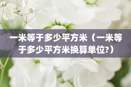 一米等于多少平方米(一米等于多少平方米换算单位?)