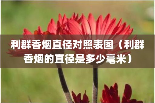 利群香烟直径对照表图（利群香烟的直径是多少毫米）