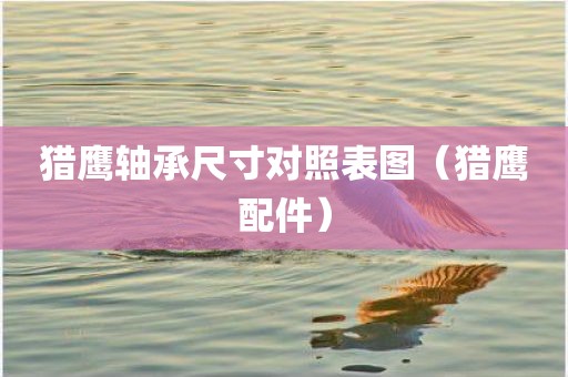 猎鹰轴承尺寸对照表图（猎鹰配件）