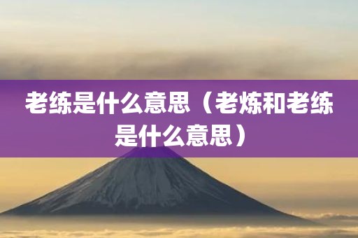 老练是什么意思（老炼和老练是什么意思）