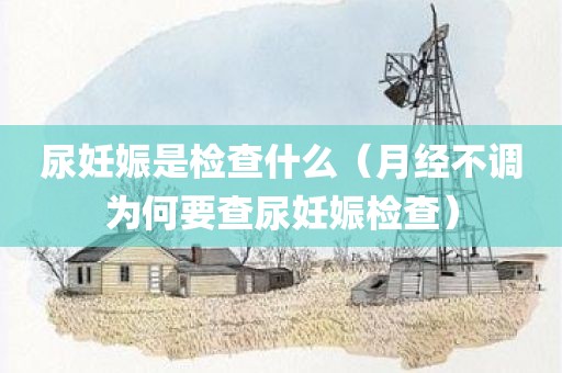 尿妊娠是检查什么（月经不调为何要查尿妊娠检查）
