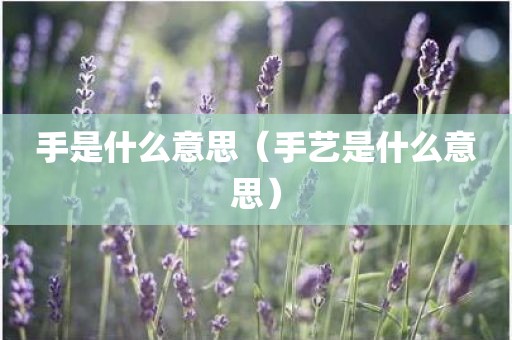 手是什么意思（手艺是什么意思）