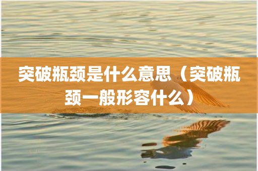 突破瓶颈是什么意思（突破瓶颈一般形容什么）