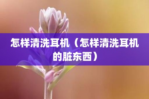 怎样清洗耳机（怎样清洗耳机的脏东西）