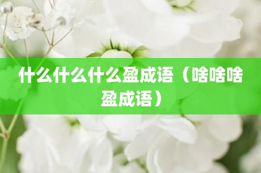 什么什么什么盈成语(啥啥啥盈成语)